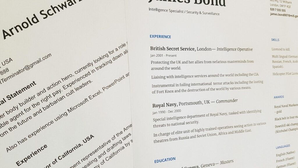Download district manager resume template in PDF for free